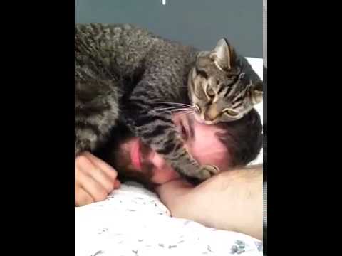 Viral Video UK: Kitten gets cosy on guys head!