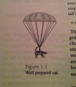 6 well prepared cat