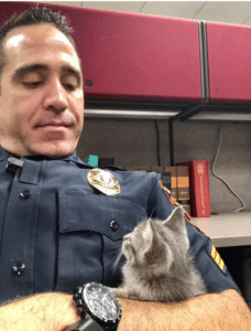 A police officer adopts a lost kitten and decides to become her new father