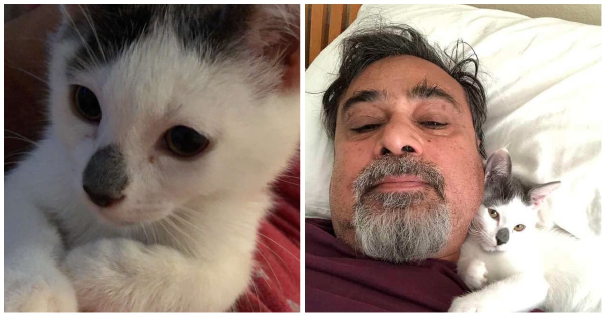 Dad claimed he didn't like cats until he cared for this kitten story