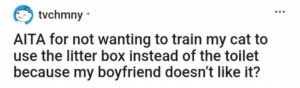 Man threatens to leave if girlfriend doesn't train her cat's litterbox, but the girlfriend refuses 1