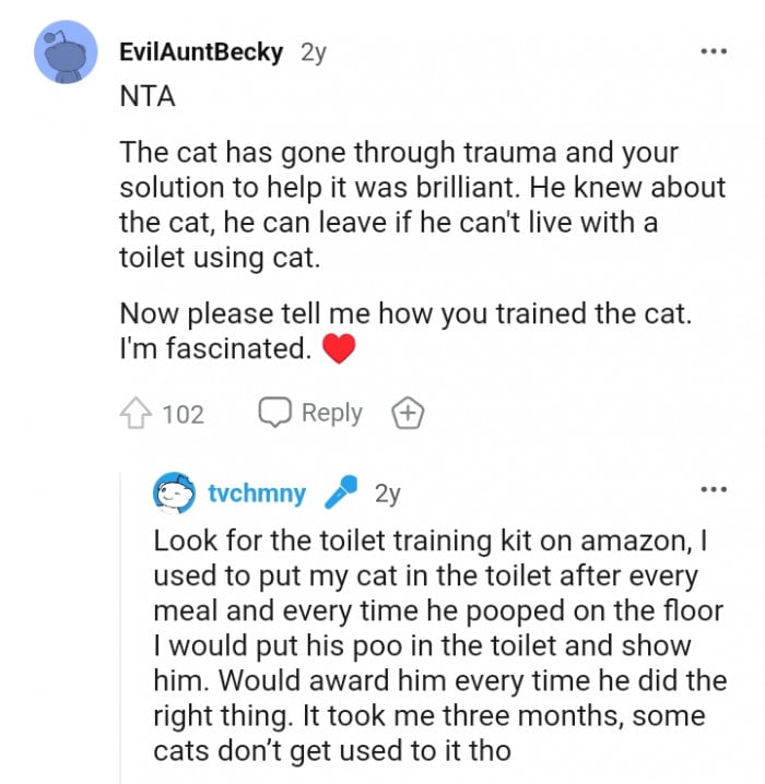 Man threatens to leave if girlfriend doesn't train her cat's litterbox, but the girlfriend refuses 19