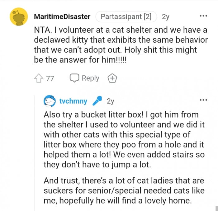 Man threatens to leave if girlfriend doesn't train her cat's litterbox, but the girlfriend refuses 20