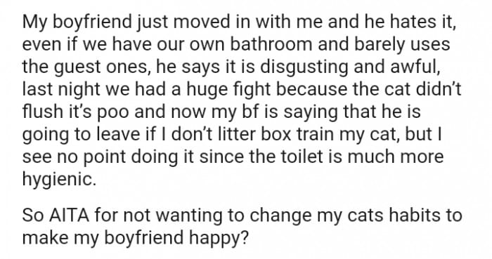 Man threatens to leave if girlfriend doesn't train her cat's litterbox, but the girlfriend refuses 3