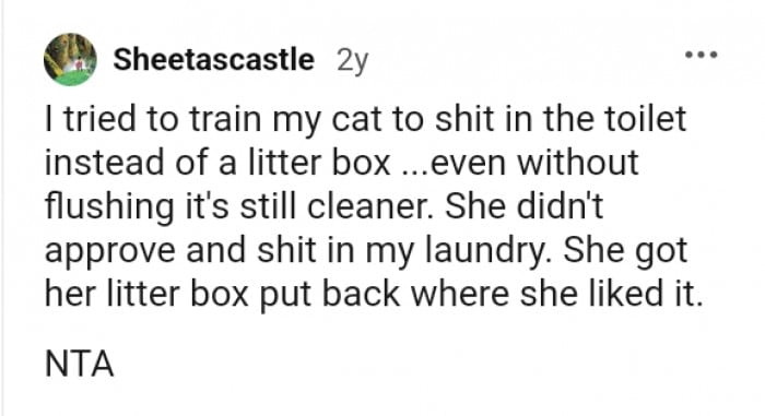 Man threatens to leave if girlfriend doesn't train her cat's litterbox, but the girlfriend refuses 8