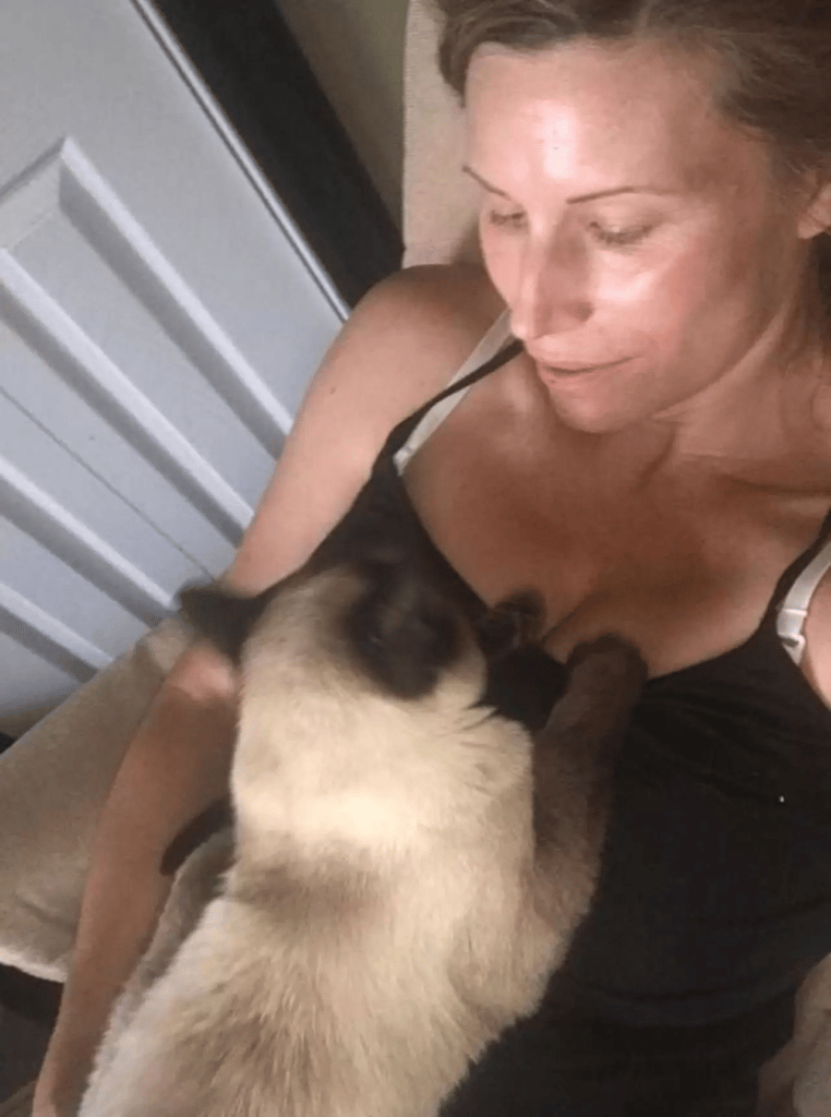 Scared stray cat changes as she encounters a newborn child 5