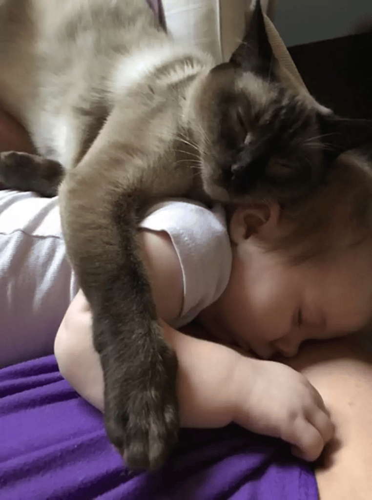 Scared stray cat changes as she encounters a newborn child 9