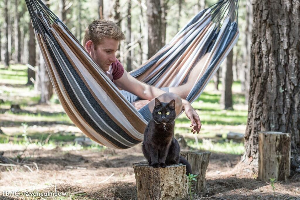 This man quit his job and began touring Australia with Willow, his companion cat 3