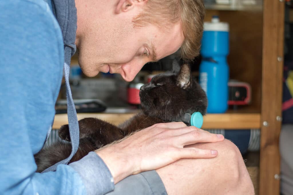 This man quit his job and began touring Australia with Willow, his companion cat 6