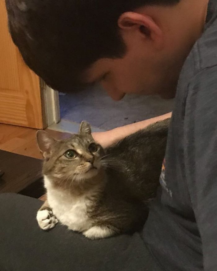 This stray cat begged to enter this man's house during a polar vortex 9