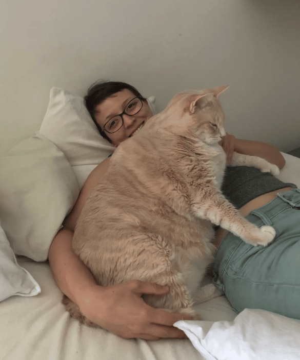 33-pound shelter cat finds the perfect family to love him 4