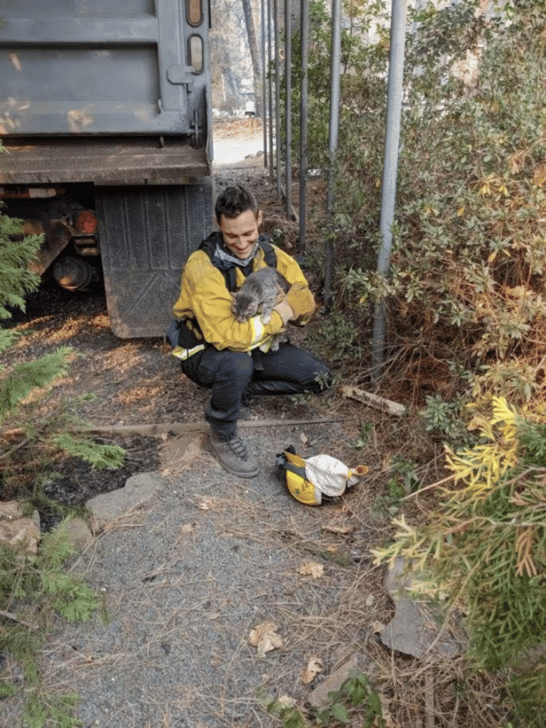 A cat rescued from a wildfire becomes quick friend of the man who saved him 3