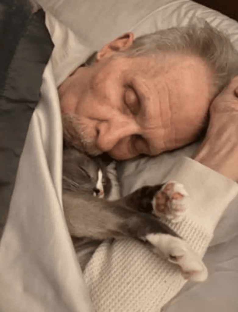 A kind cat spends the entire day cuddling his Alzheimer's-stricken father 2