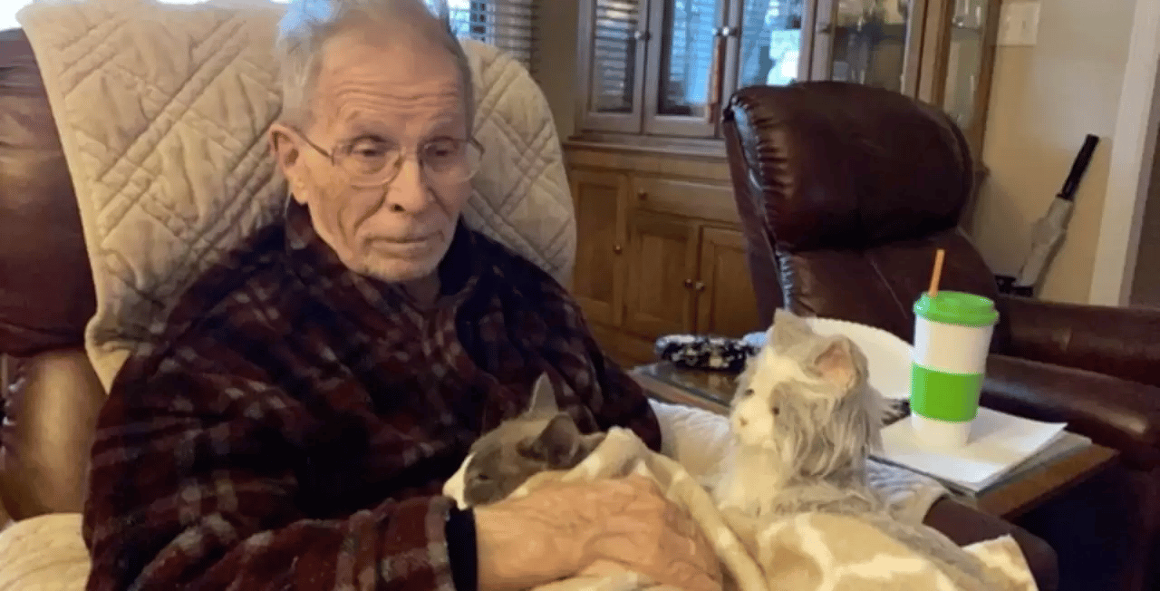 A kind cat spends the entire day cuddling his Alzheimer’s-stricken father