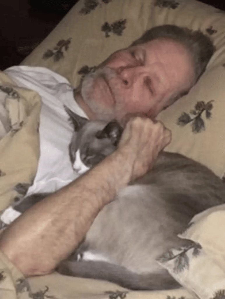 A kind cat spends the entire day cuddling his Alzheimer's-stricken father 4
