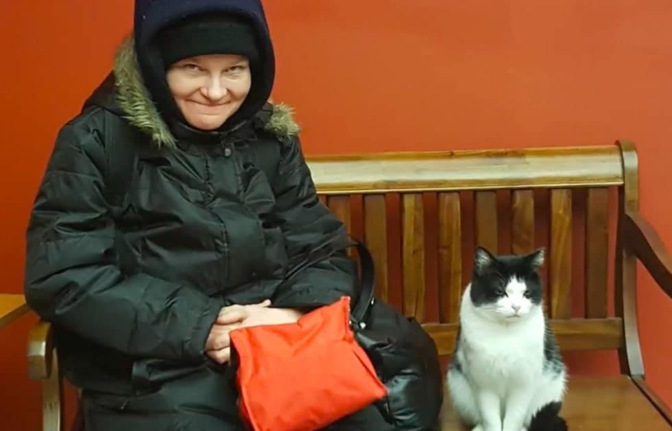 A stray cat enters a nursing home and learns to secure a job 6