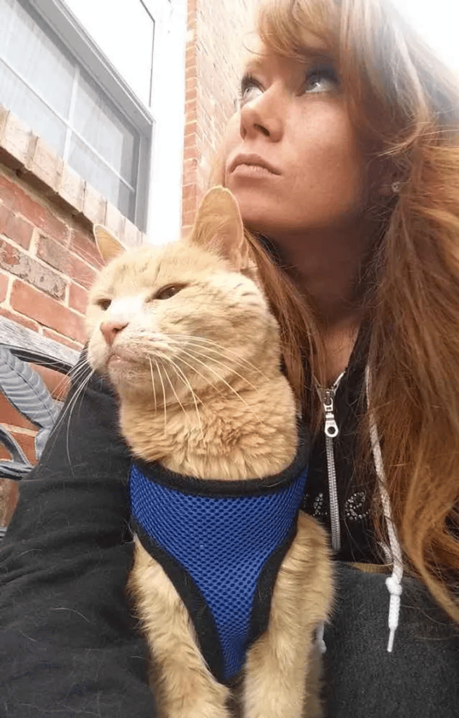 A woman saves a 21-year-old cat who was abandoned by her family 2