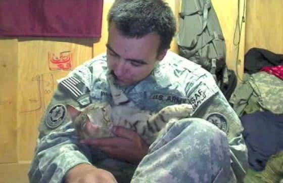 Afghan cat saved by soldier: “He Was My Saving Grace”