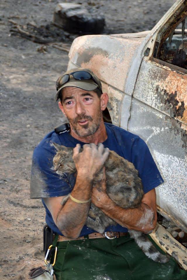 After Leaving Their Cat Behind Due To A Wildfire 3
