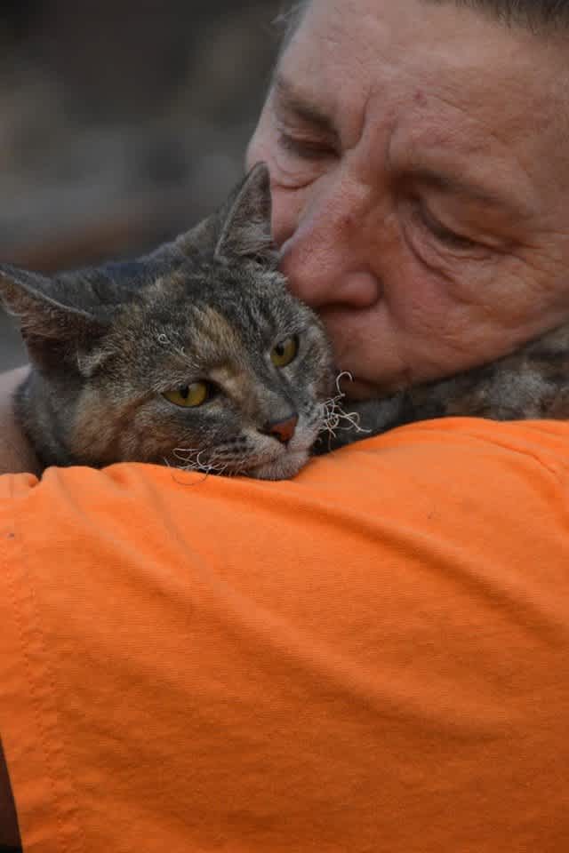 After Leaving Their Cat Behind Due To A Wildfire 4