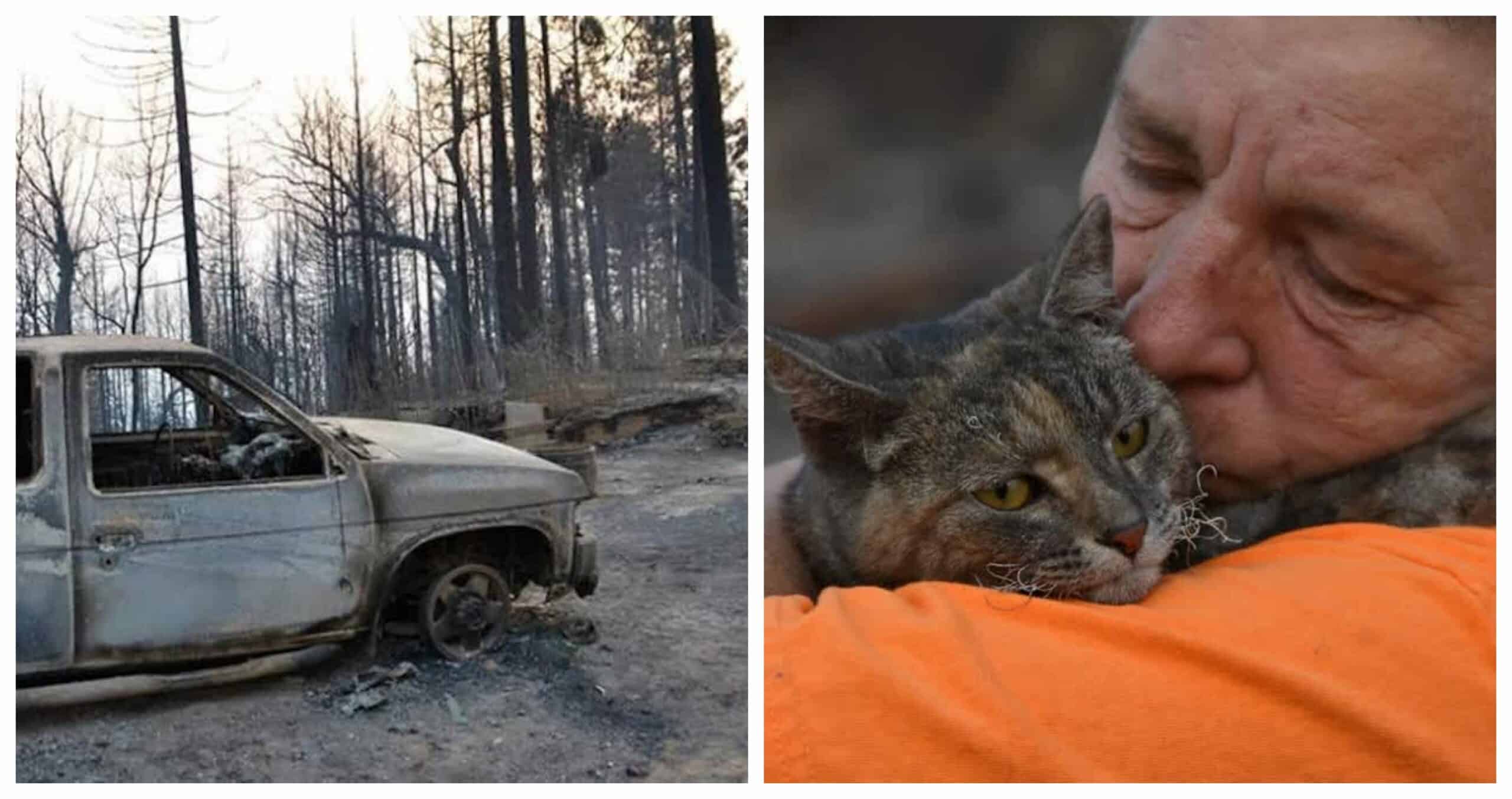 After Leaving Their Cat Behind Due To A Wildfire, They Found A MIRACLE!