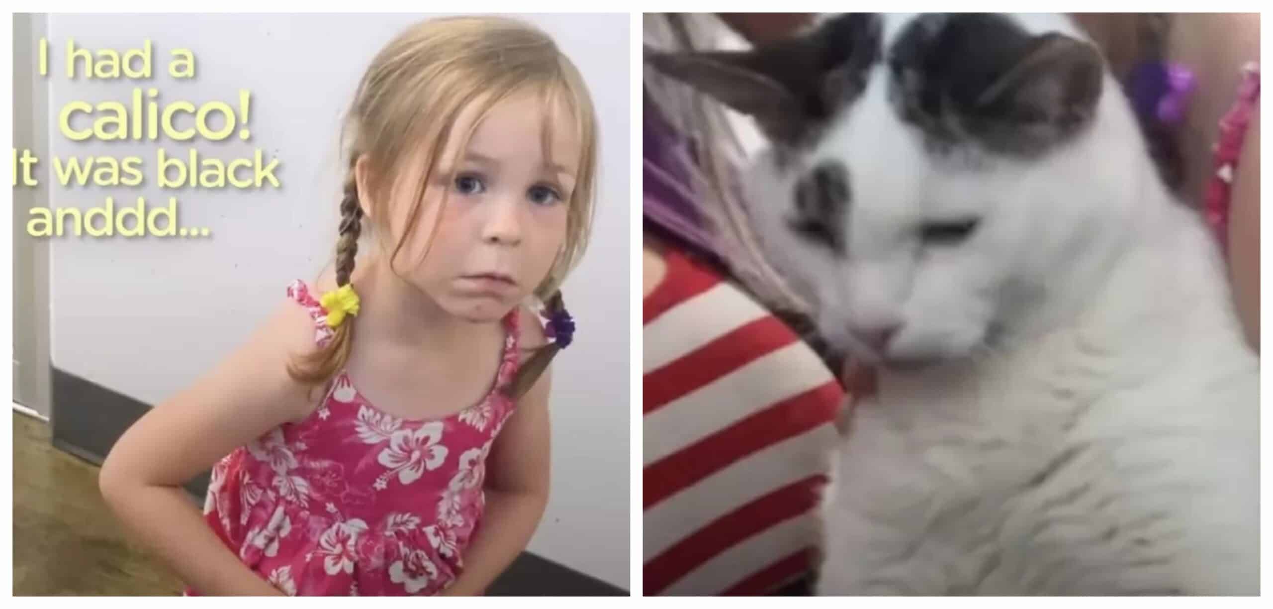 After three years away a young girl reunites with her beloved cat