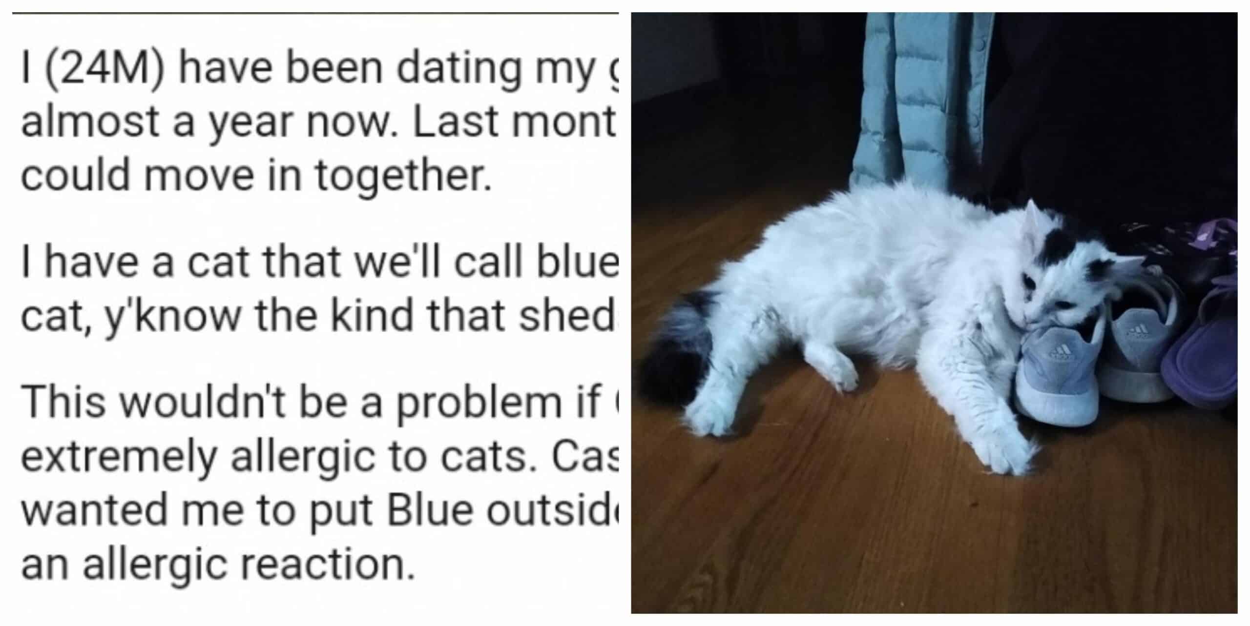 Because his allergic girlfriend wants to move in with him, the man refuses to keep his indoor cat outside