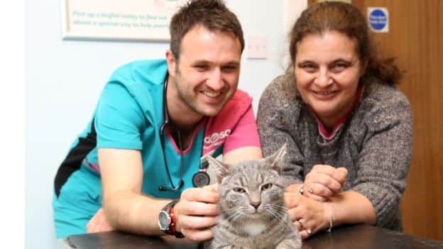 Bobby the Kitten Survives 60C Washing Machine Cycle