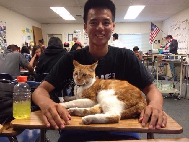 Cat Has His Own Student Because He Loves School So Much…