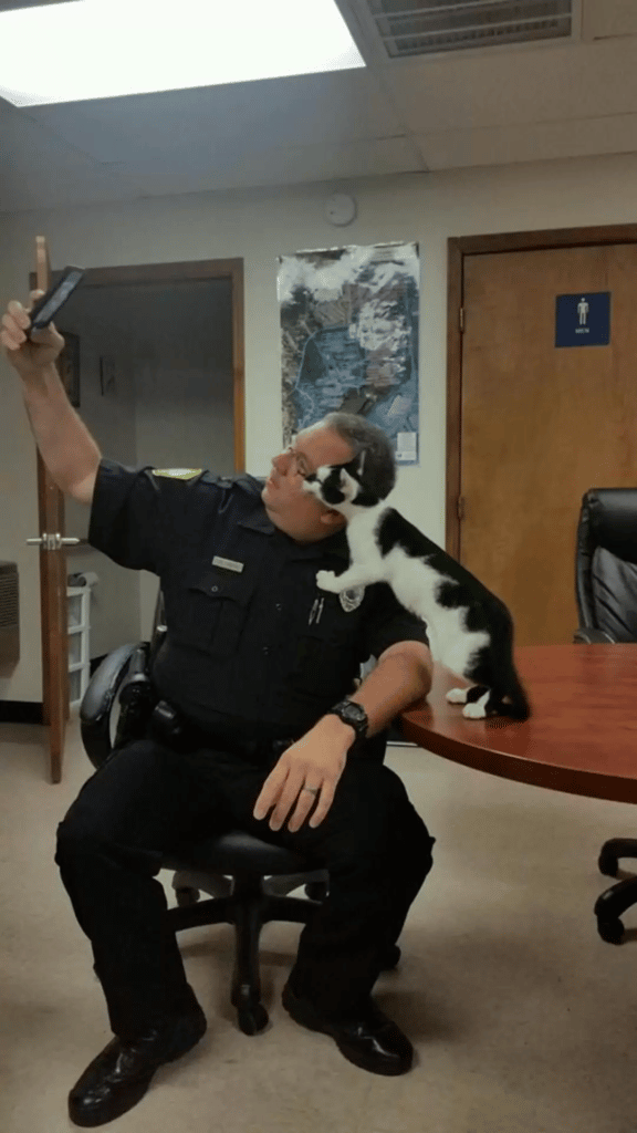 Cat continues to walk into the police station and hang out with the officers 4