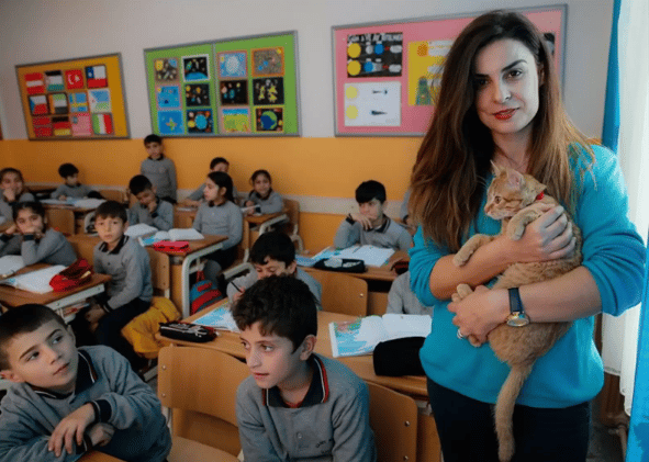 Cat enters third-grade class by accident and decides he will stay there forever 3