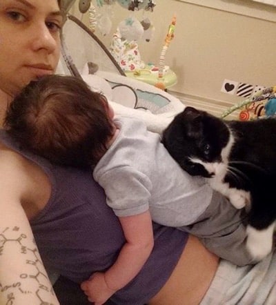 Cat fell in love with the baby bump and is now always protecting him 4