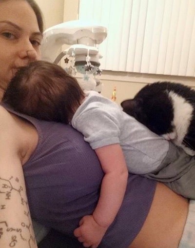 Cat fell in love with the baby bump and is now always protecting him 5