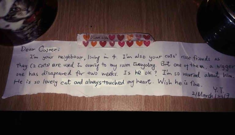 Heartbroken - A Touching Letter was Sent to This Couple Following the Death of Their Cat 2