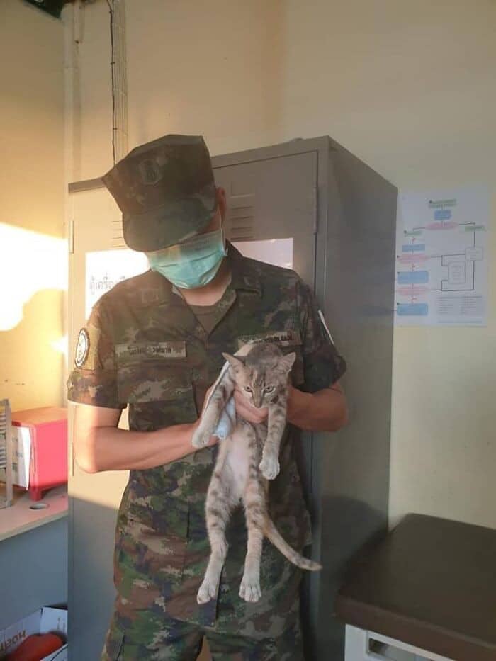 Heroic Thai Navy Officer Rescues Four Cats From the Ocean 10