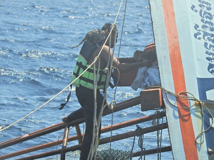 Heroic Thai Navy Officer Rescues Four Cats From the Ocean 3