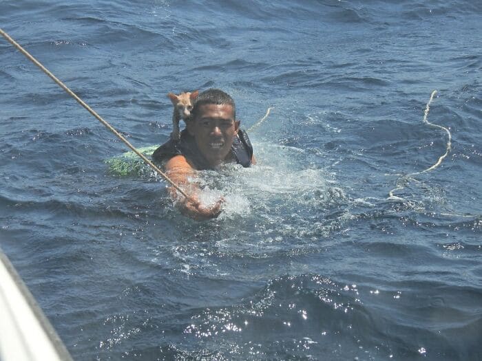 Heroic Thai Navy Officer Rescues Four Cats From the Ocean 4