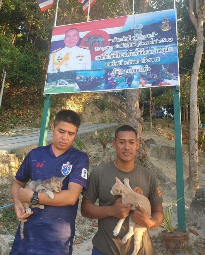 Heroic Thai Navy Officer Rescues Four Cats From the Ocean 8