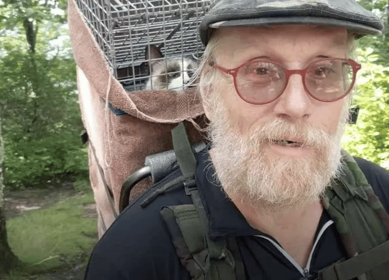 Kind People Save a helpless Cat from a Mountaintop 5