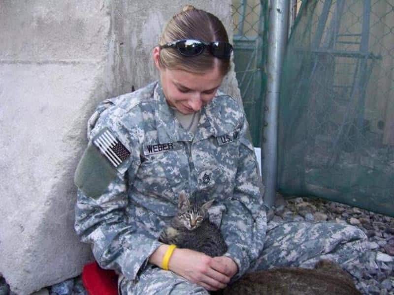 Military woman refuses to abandon sick kitten