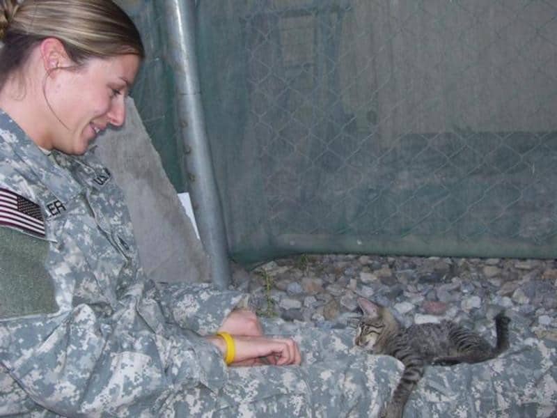 Military woman refuses to abandon sick kitten 5