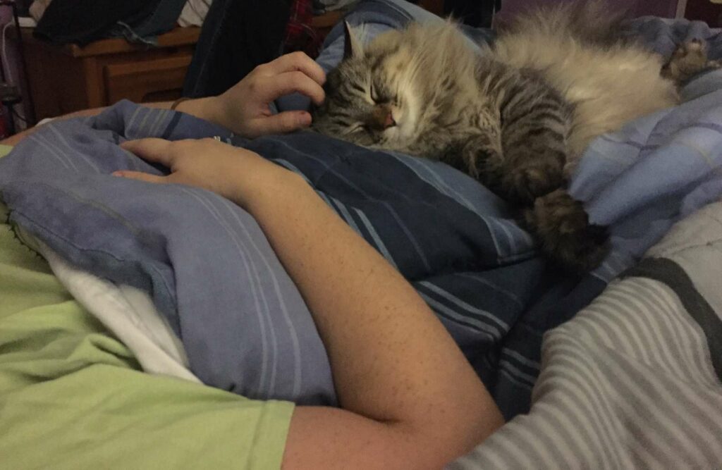 Shy Cat Never Gave His Mom a Hug Until He Found Out She Was Pregnant 2