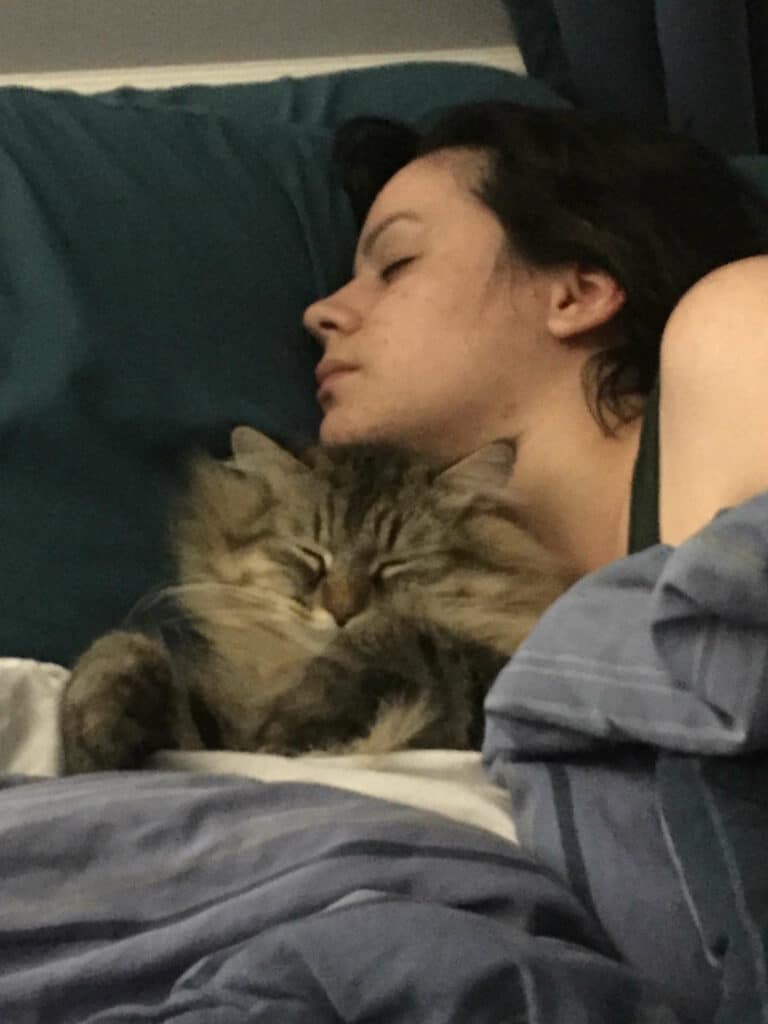 Shy Cat Never Gave His Mom a Hug Until He Found Out She Was Pregnant 5