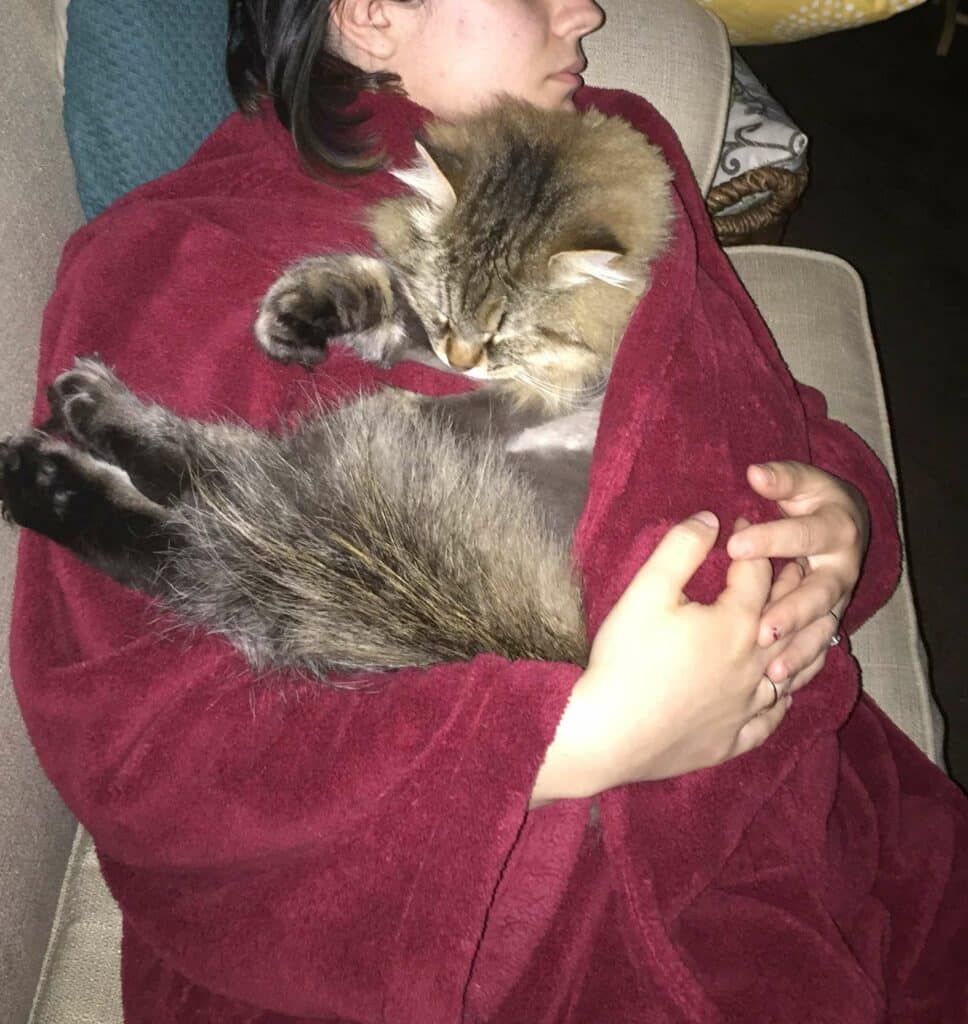 Shy Cat Never Gave His Mom a Hug Until He Found Out She Was Pregnant 7