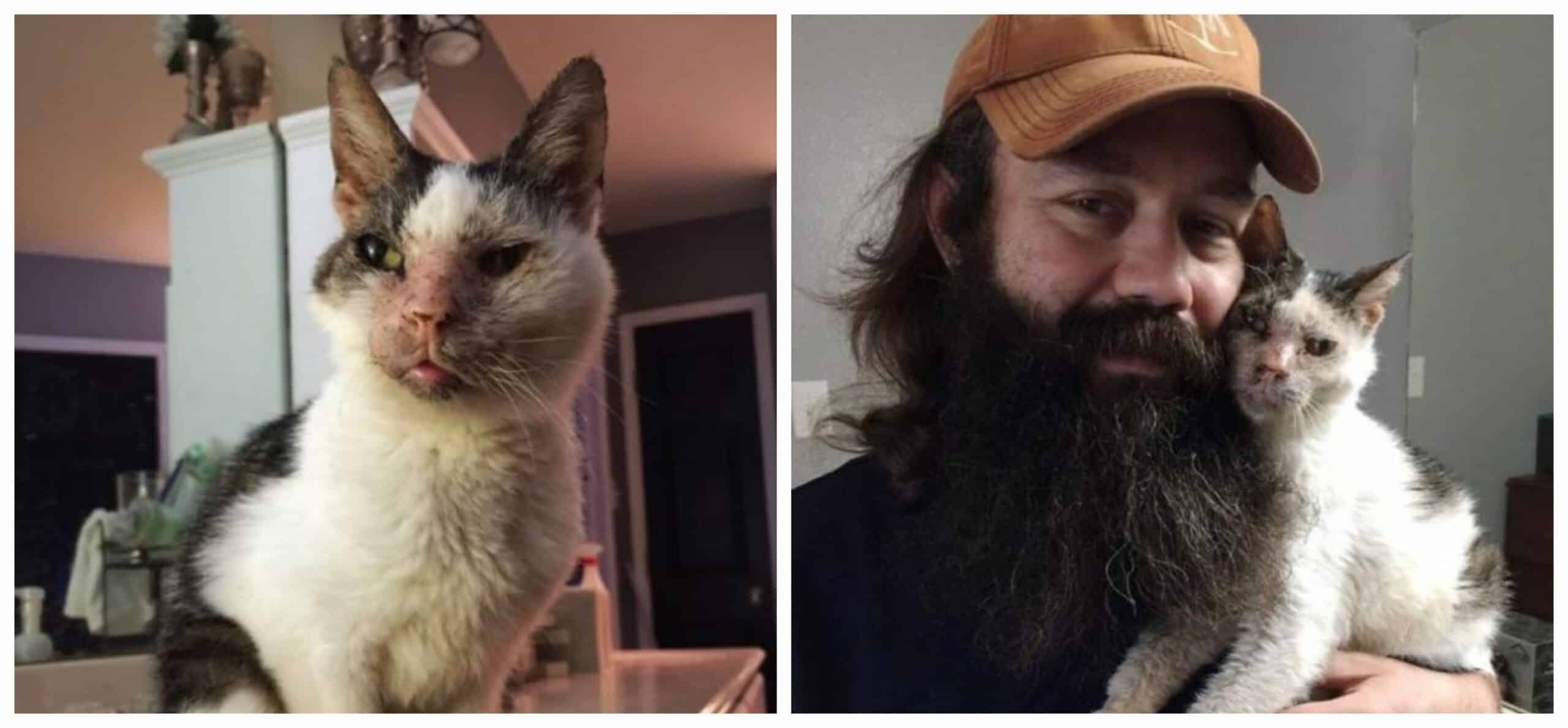 Thanks to all who helped this elderly, deaf, and completely helpless Cat