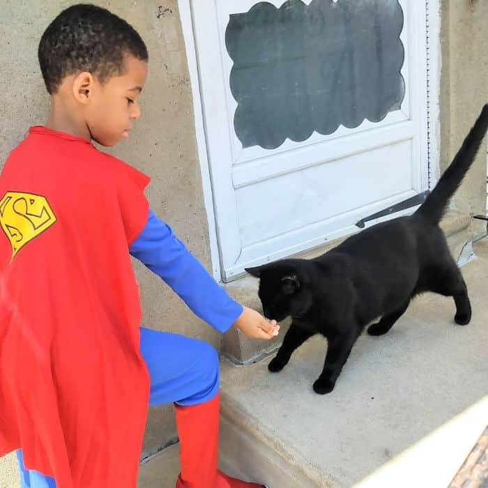 The 5-Year-Old Superhero Who Helps Homeless Cats is called Catman 1