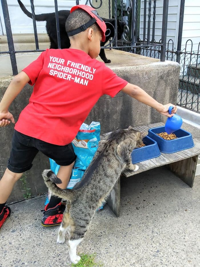 The 5-Year-Old Superhero Who Helps Homeless Cats is called Catman 10