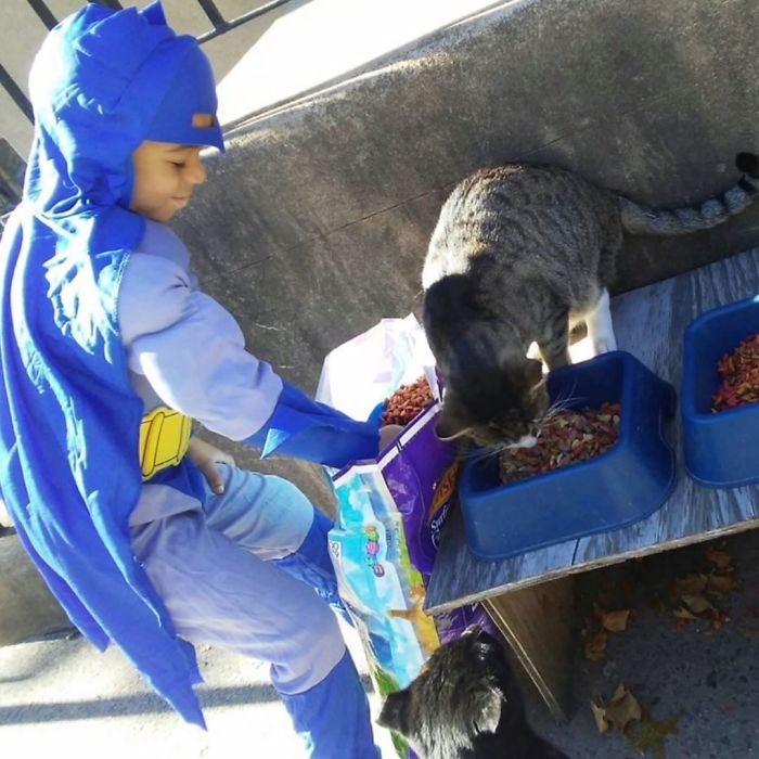 The 5-Year-Old Superhero Who Helps Homeless Cats is called Catman 12