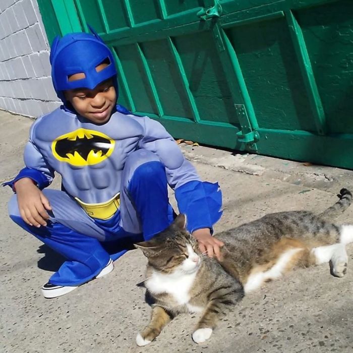 The 5-Year-Old Superhero Who Helps Homeless Cats is called Catman 3