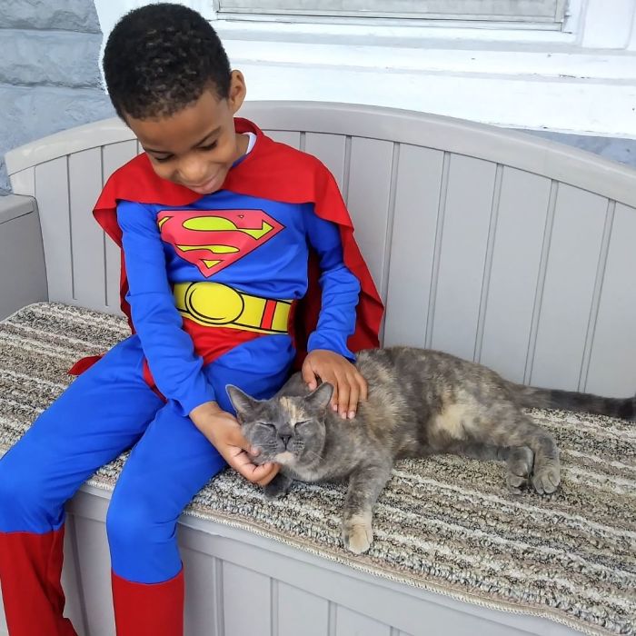 The 5-Year-Old Superhero Who Helps Homeless Cats is called Catman 5